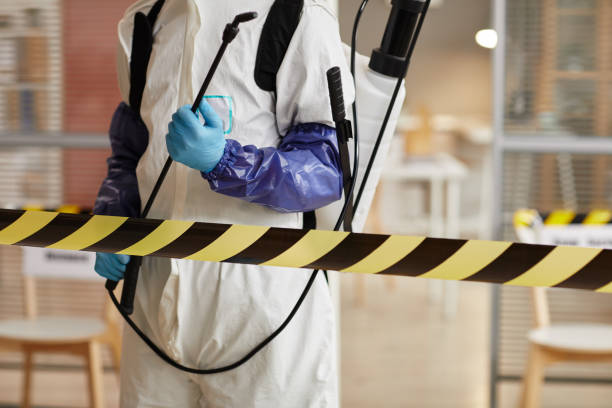 Professional Hoarding Cleanup technician working in Rockland, ME